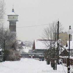 Zima w Sulechowie