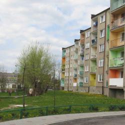 Spacer po Sulechowie