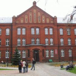 Spacer po Sulechowie