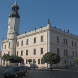 Spacer po Sulechowie