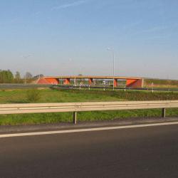 Spacer po Sulechowie