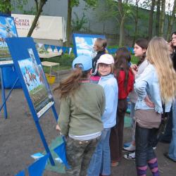 3 Maja 2008 w Sulechowie