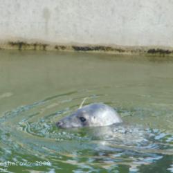 Cantabile na gościnnych Kaszubach
