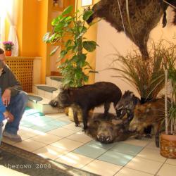 Cantabile na gościnnych Kaszubach