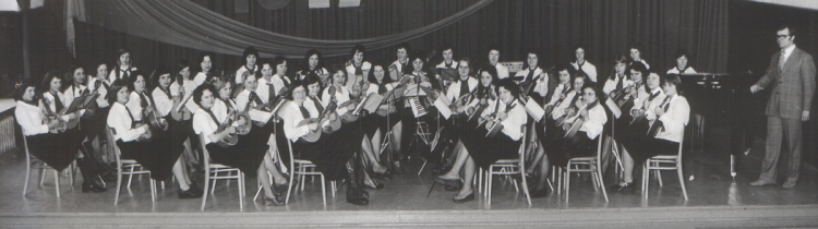 Zespół mandolinowy