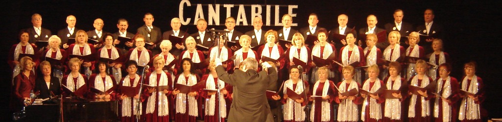 Informator lokalny zawiera wiadomości, historia  miasta Sulechowa, wizytówki firmowe - Lubuskie Firmy, informacje lokalne i lubuskie,  sulechowskie zdjęcia, i inne. 